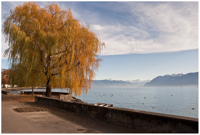 Lac Léman à Lausanne - 25.11.09 (K10D, DA 15/4)